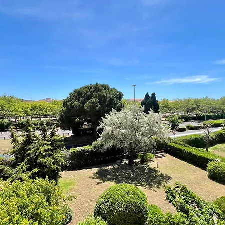 C19 Jules Verne Агд