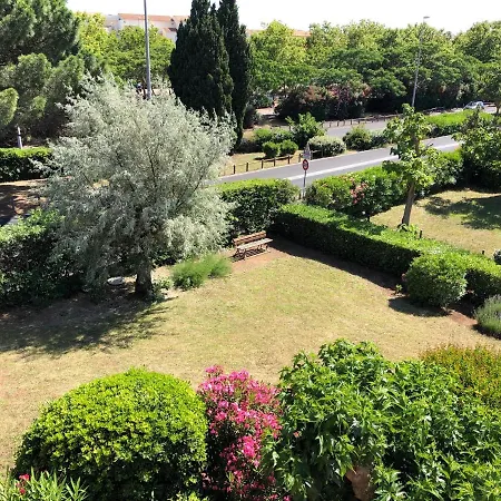 C19 Jules Verne * 阿格德