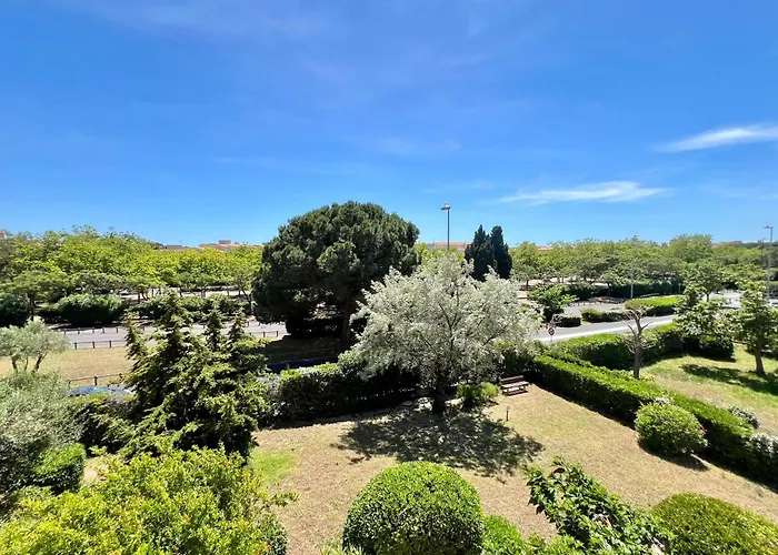 C19 Jules Verne 아그